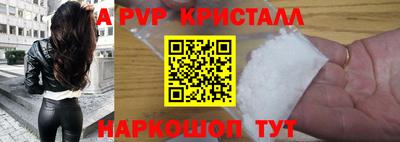 стафф Кандалакша