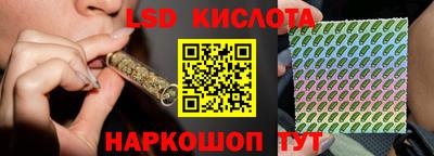 стафф Кандалакша