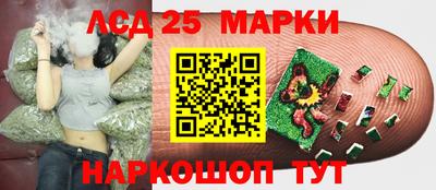 стафф Кандалакша