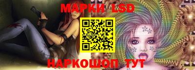 стафф Кандалакша