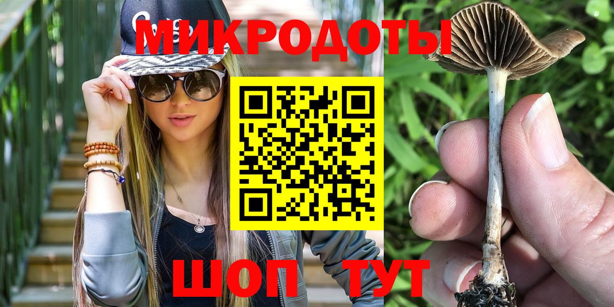 купить  цена  Псилоцибиновые грибы GOLDEN TEACHER  Вход с VPN  Туапсе 