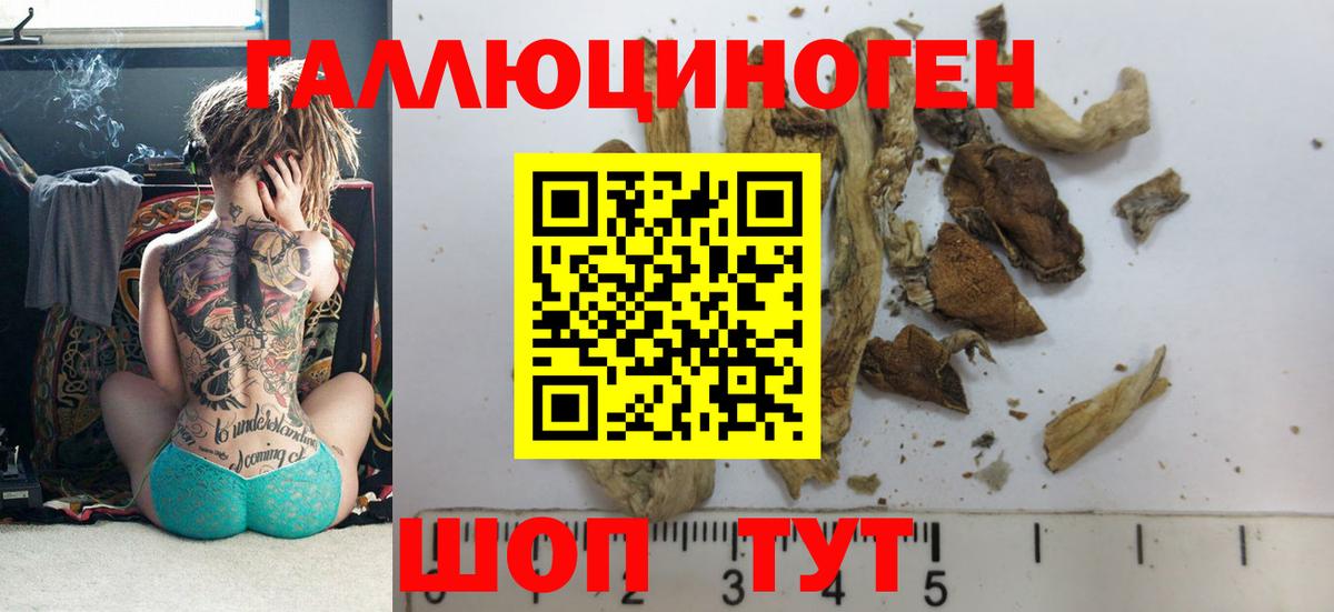 Псилоцибиновые грибы ЛСД Туапсе